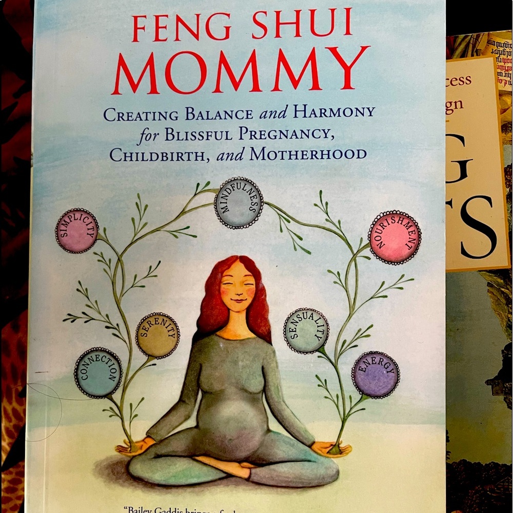 Feng shui mommy pregnancy book